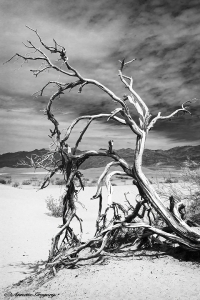 Death-Valley-5