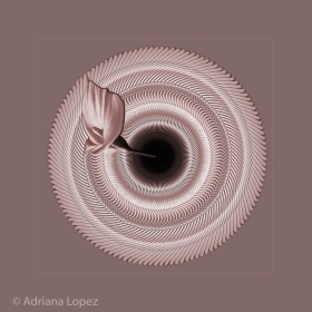 2140503_Photographic_Artist_Calla_121182_Adriana-Lopez